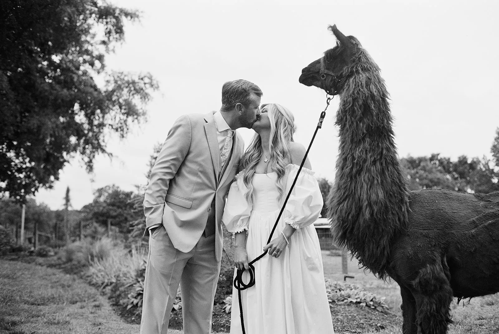 Couple kissing with llama — fun wedding portrait planned by Blush & Bash Event Co.